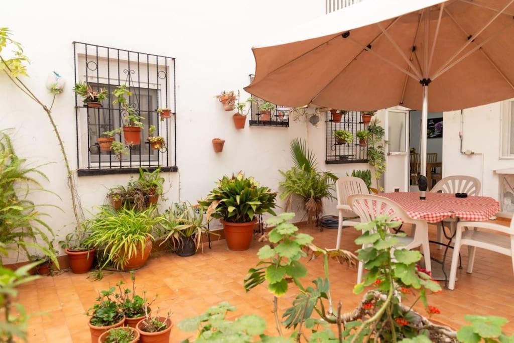 加的斯El Patio De La Vina By Gades Gestion公寓 外观 照片